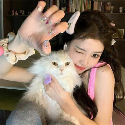 Q版三国之三小强