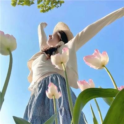 鸭乃桥论的禁忌推理第二季